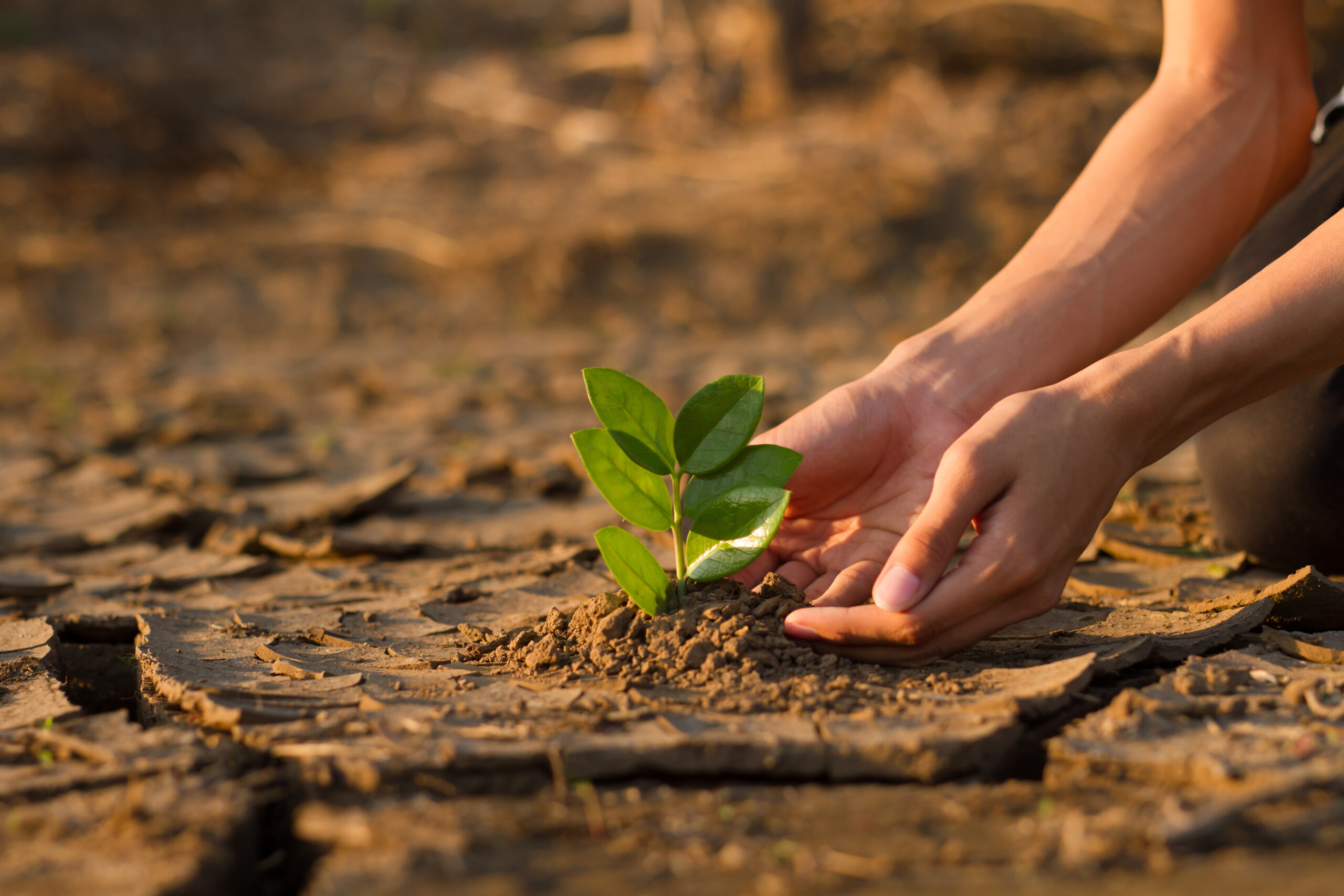 Invest North – Grow